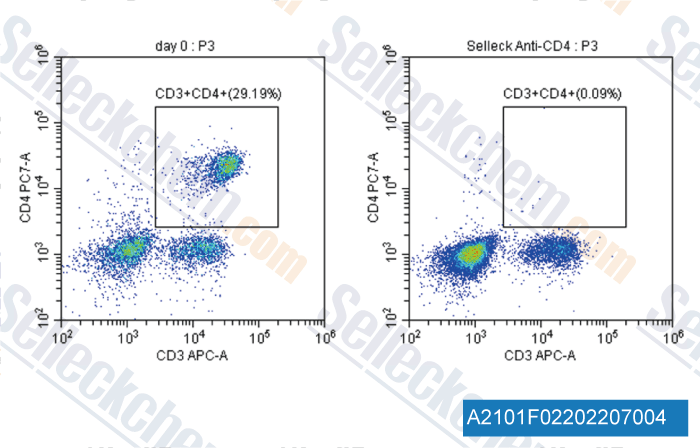 A2101 Anti-mouse CD4-InVivo-1.gif